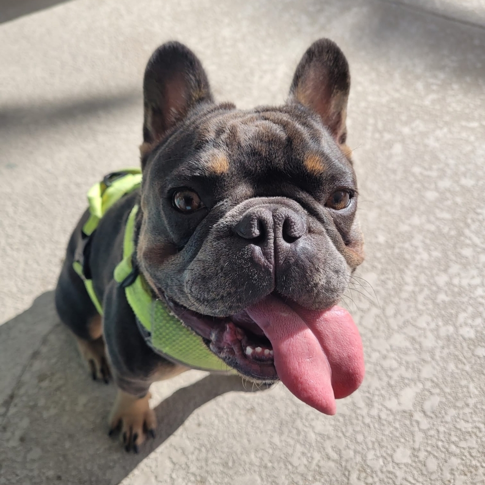 Meet your Posher, Lori